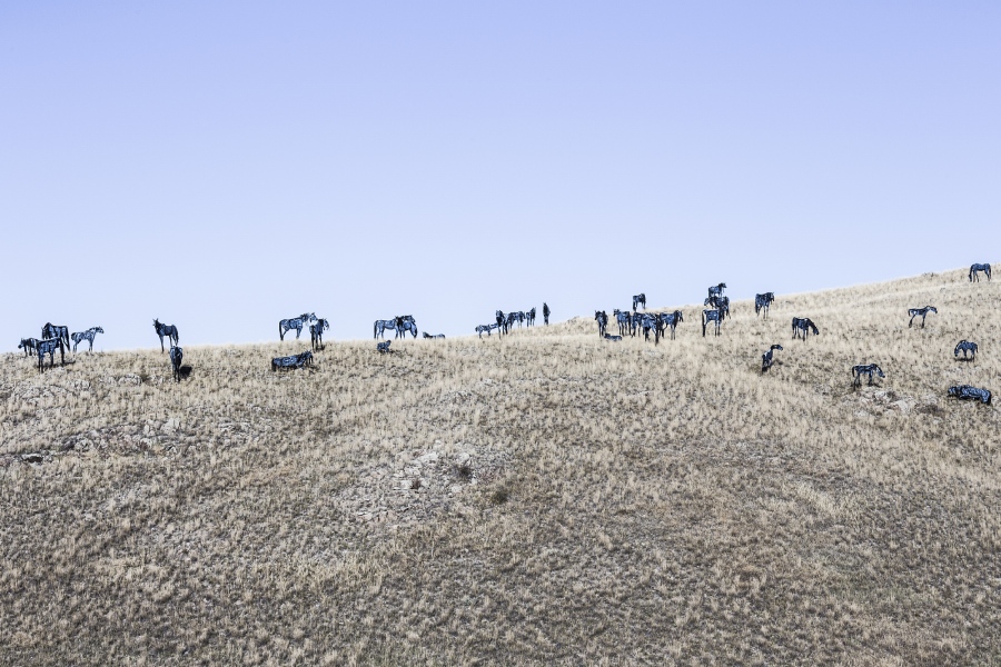 The Bleu Horses, Three Forks, Montana, USA, 2014